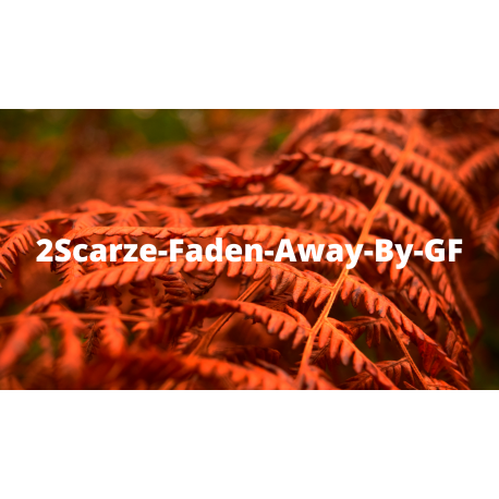 2Scarze-Faden-Away-By-GF