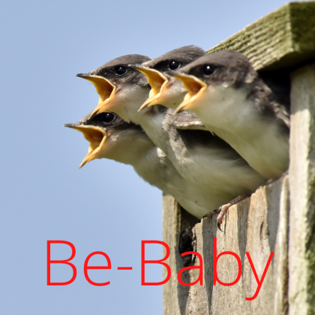 Be-Baby