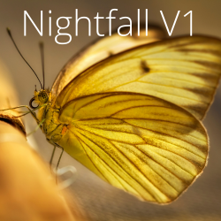 Nightfall-V1