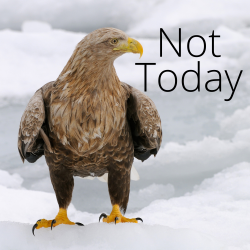 Not-Today